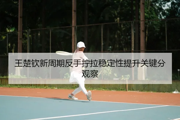 王楚钦新周期反手拧拉稳定性提升关键分观察